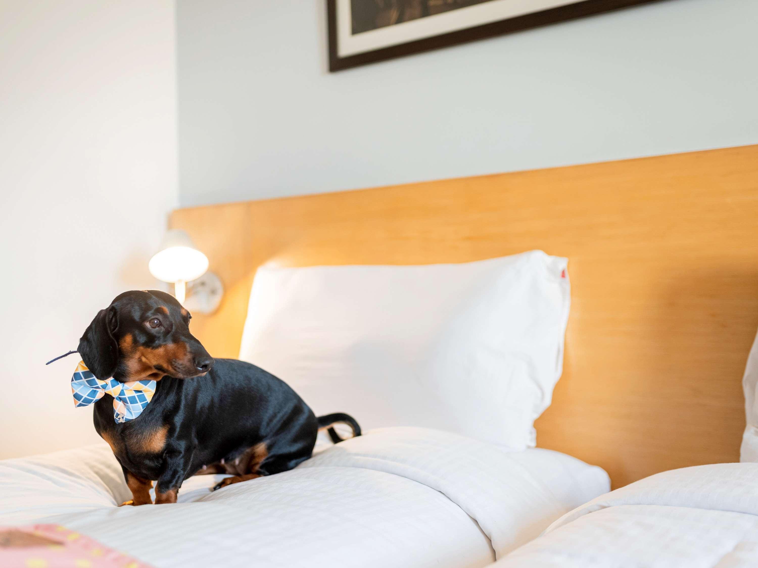 Ibis Pune Viman Nagar - An Accor Brand Esterno foto