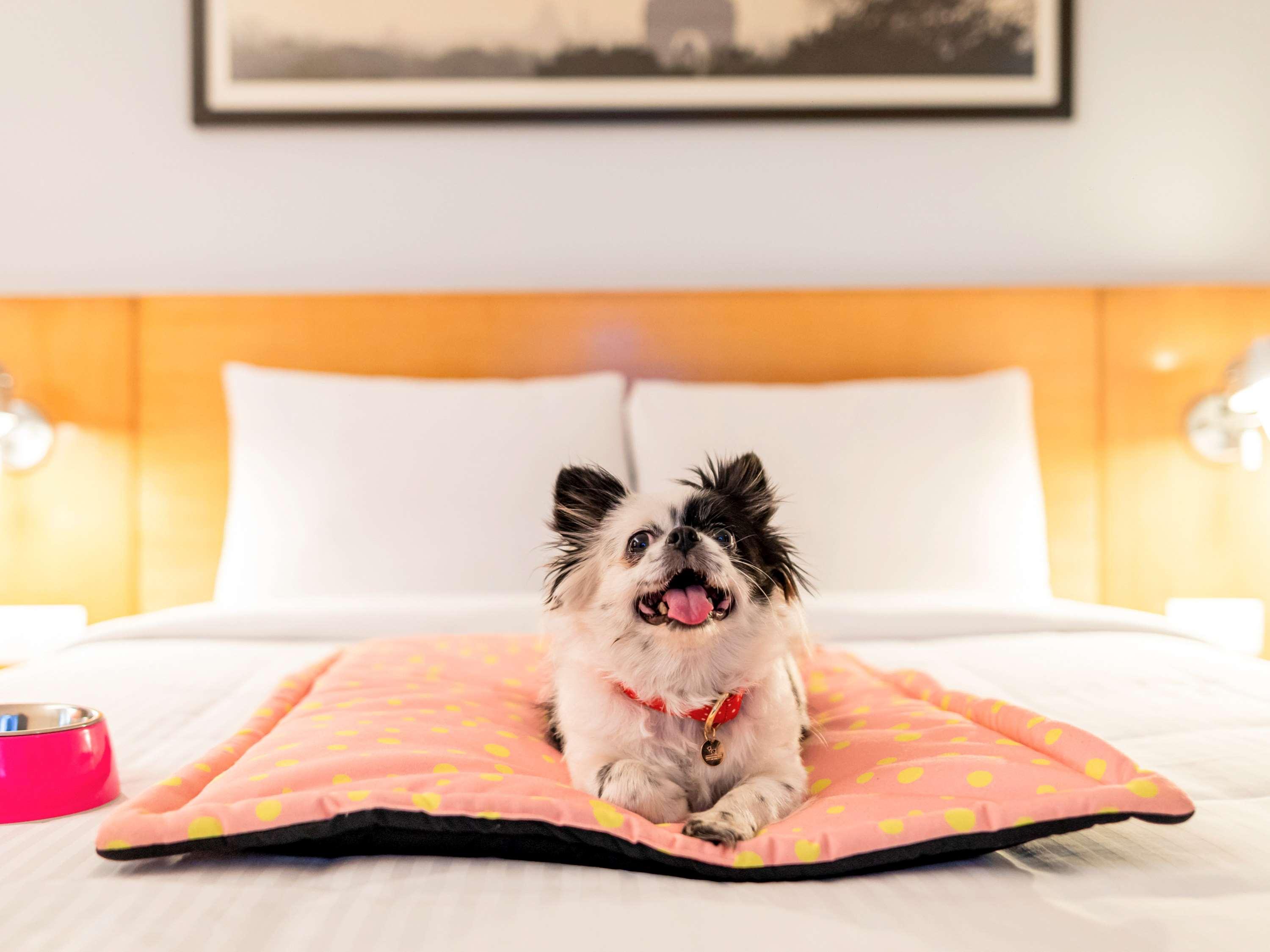 Ibis Pune Viman Nagar - An Accor Brand Esterno foto